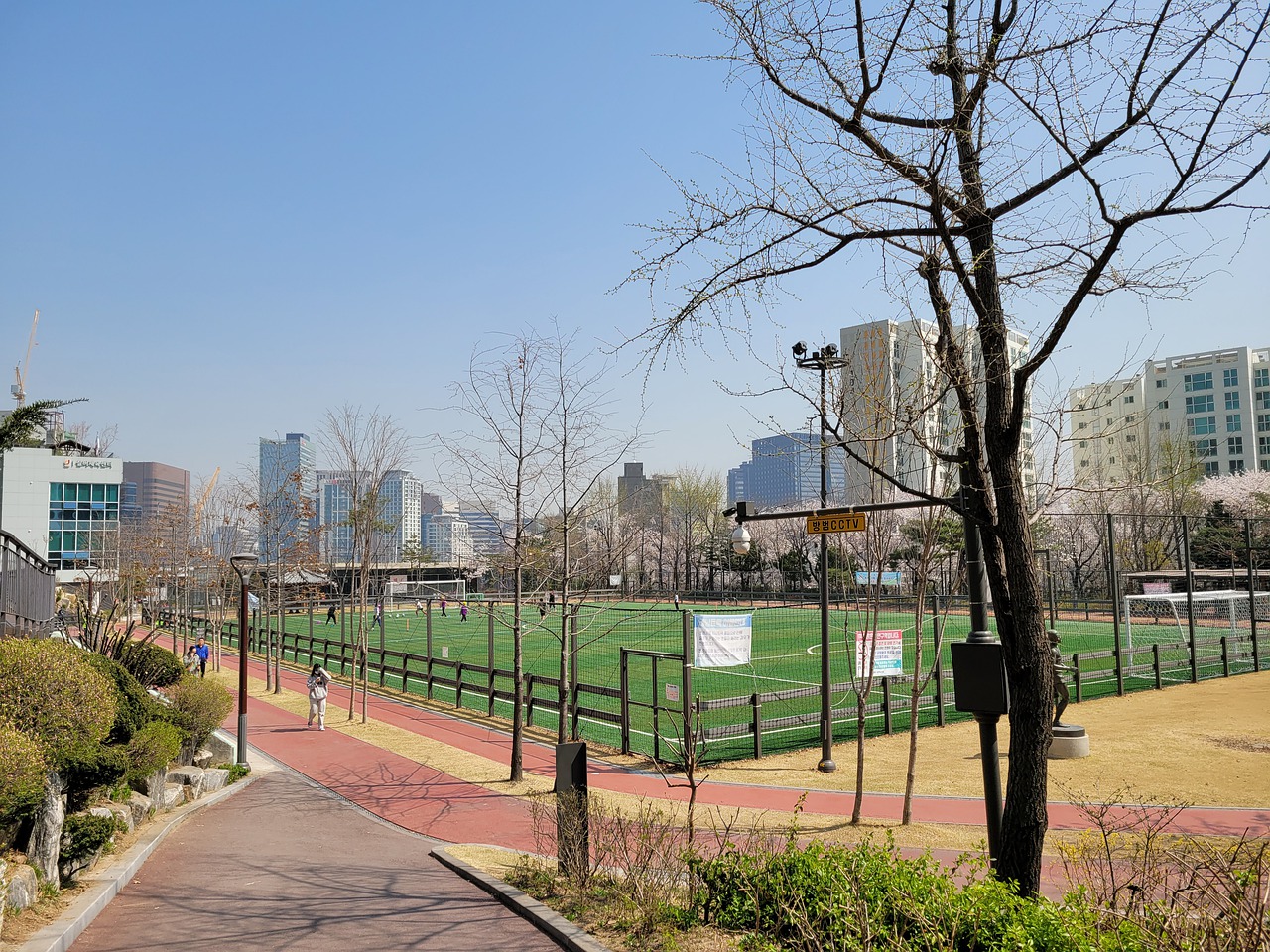 Saka