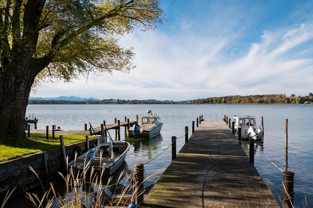 记得当年的 记得当年的