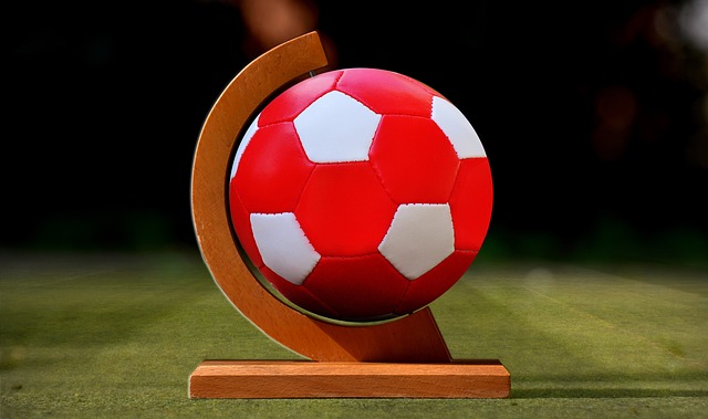 我们将解读 我们将解读