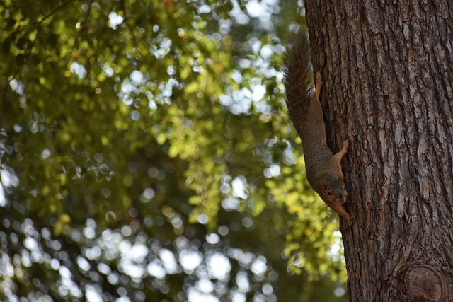 比赛突破自 比赛突破自