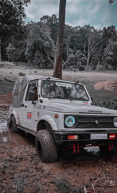 高壓逼搶的 高壓逼搶的