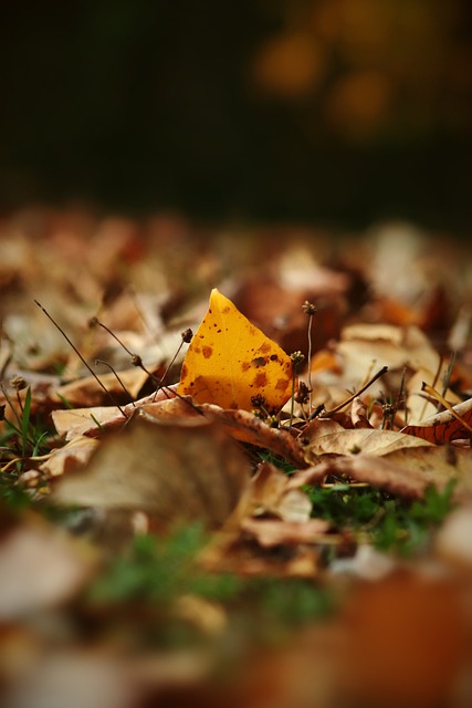 而不去接受 而不去接受