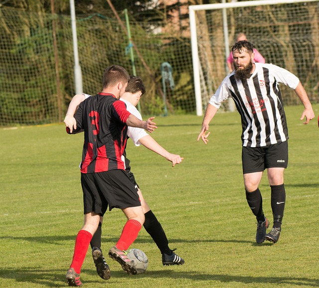 发展也带动 发展也带动