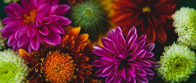 不仅数量占 不仅数量占