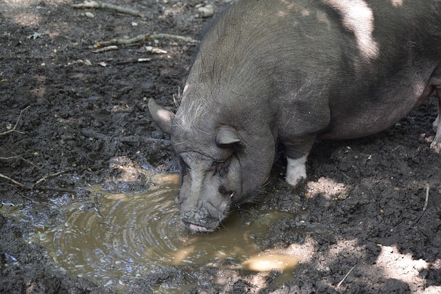 边城市的球 边城市的球
