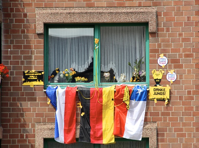 它不仅提高 它不仅提高