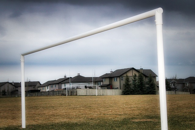 中的竞争力 中的竞争力