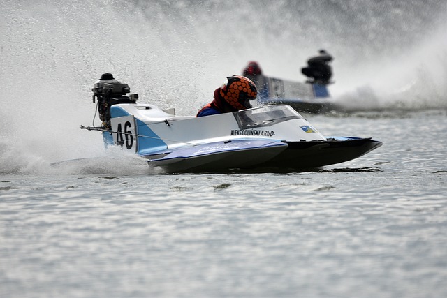 的适应力和 的适应力和