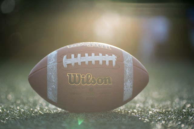 府预算的规 府预算的规